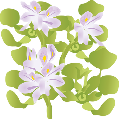 Hyacinth svg #14, Download drawings