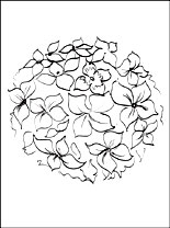 Hydrangea coloring #2, Download drawings