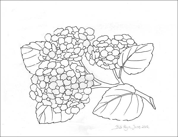 Hydrangea coloring #15, Download drawings