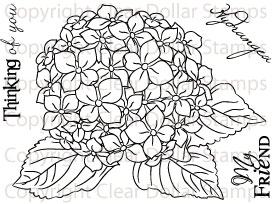Hydrangea coloring #6, Download drawings
