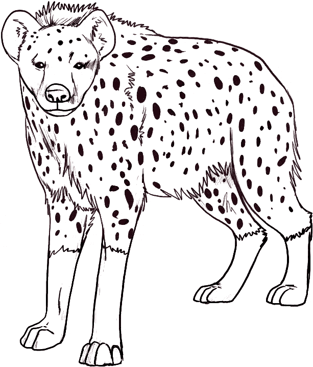 Hyena coloring #20, Download drawings