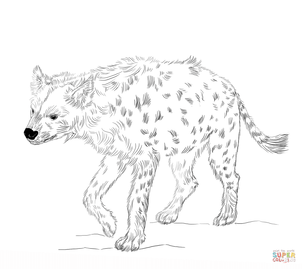 Hyena coloring #12, Download drawings
