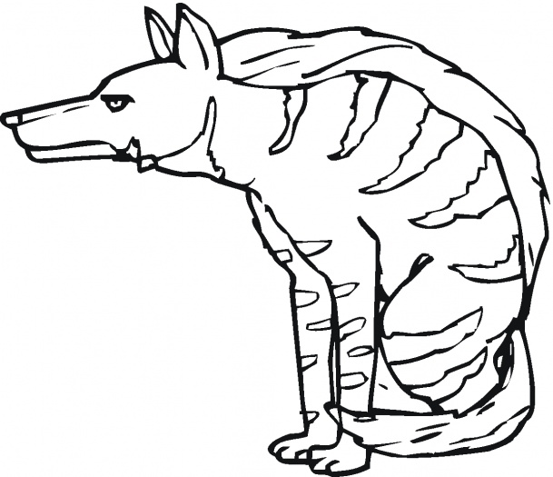 Hyena coloring #2, Download drawings