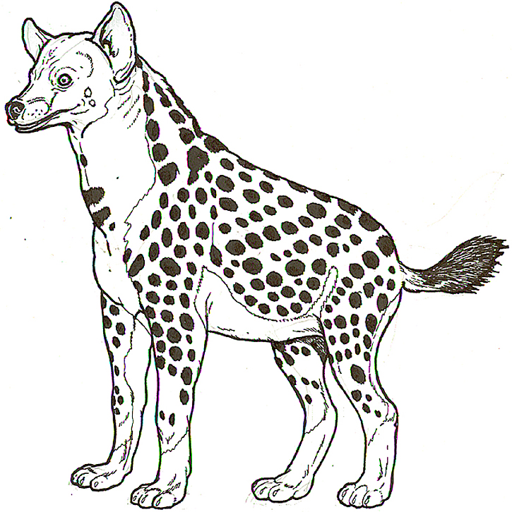 Hyena coloring #16, Download drawings