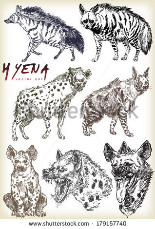 Hyena svg #1, Download drawings