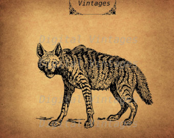 Hyena svg #2, Download drawings