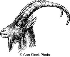 Ibex clipart #3, Download drawings