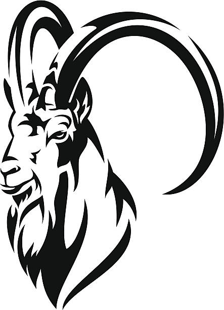 Ibex clipart #7, Download drawings