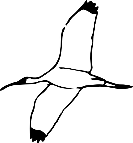 White Ibis svg #19, Download drawings