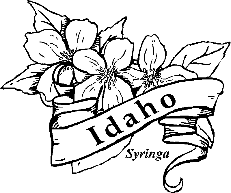 Idaho coloring #7, Download drawings
