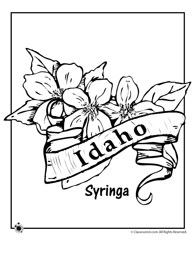 Idaho coloring #16, Download drawings