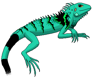 Iguana clipart #10, Download drawings
