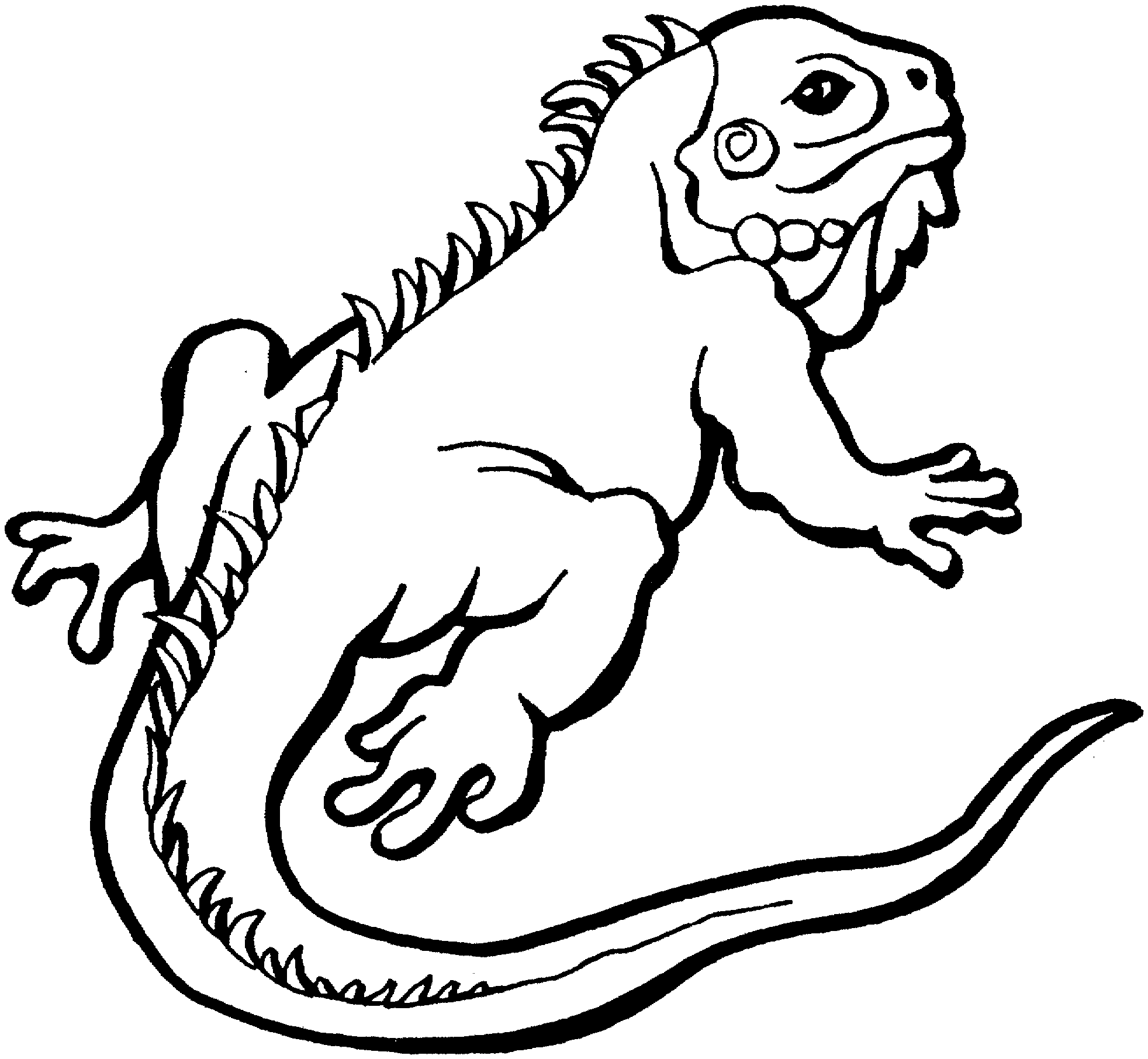Iguana coloring #12, Download drawings