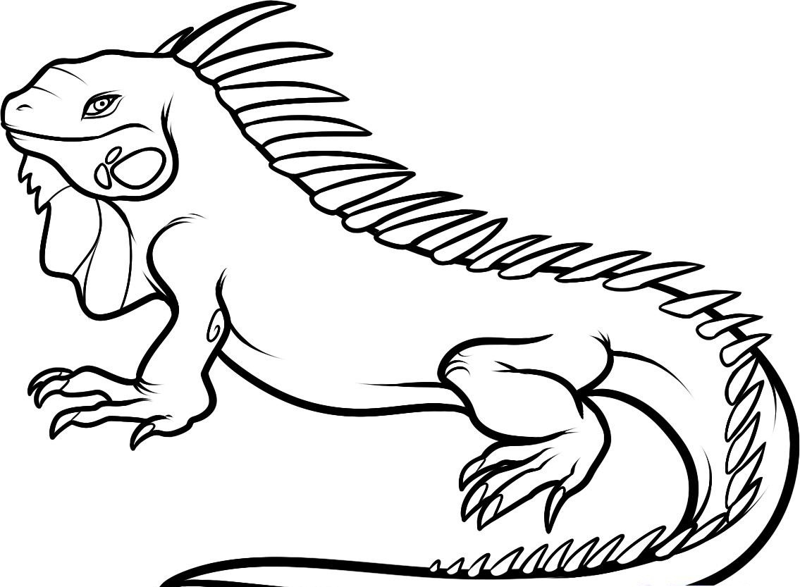 Iguana coloring #20, Download drawings