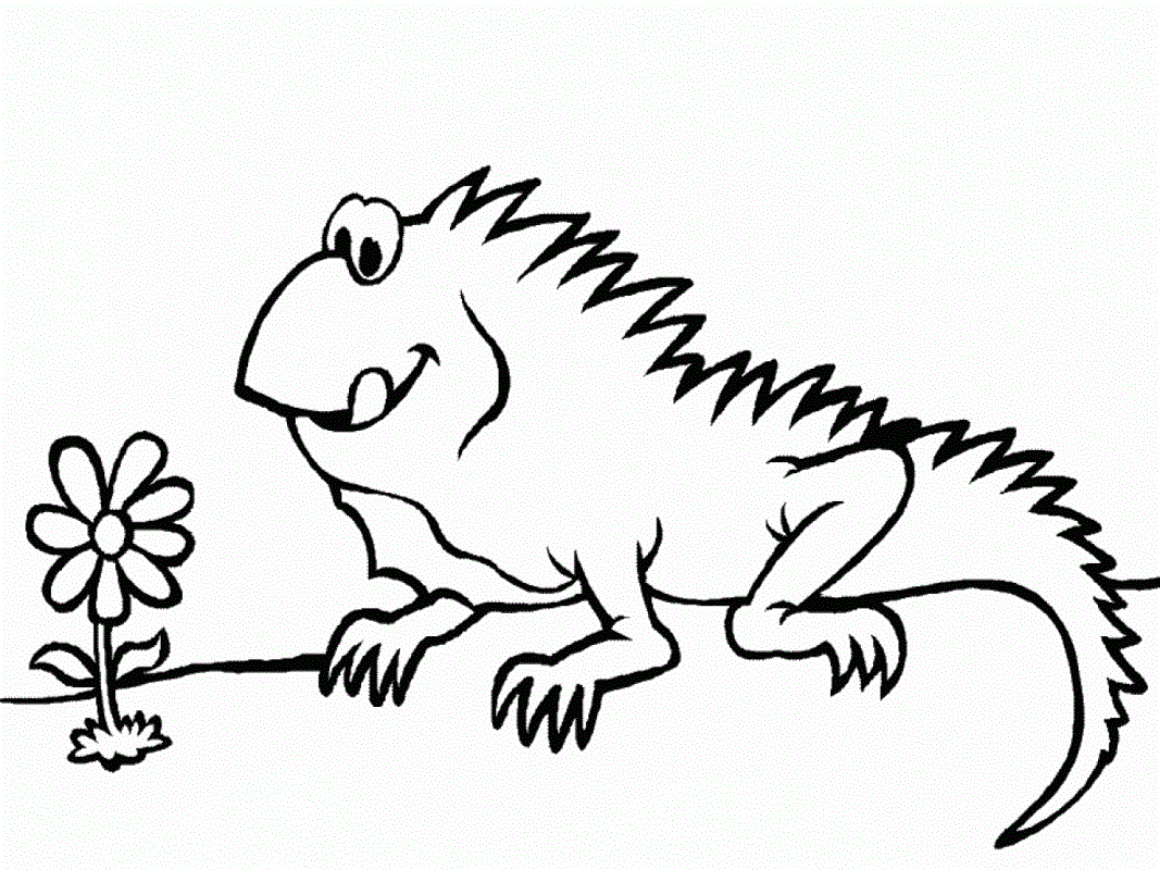 Iguana coloring #14, Download drawings