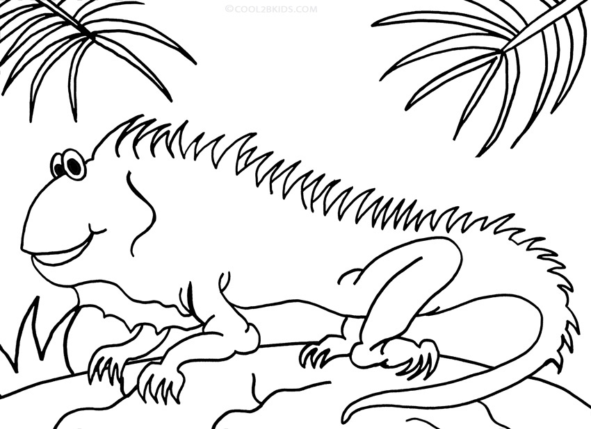 Iguana coloring #8, Download drawings