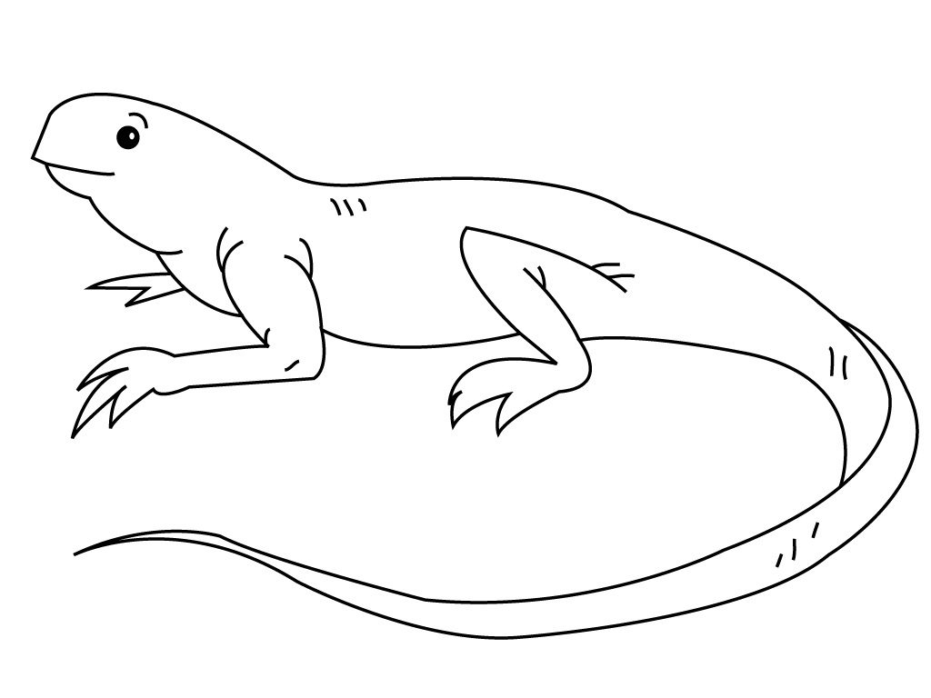 Iguana coloring #3, Download drawings