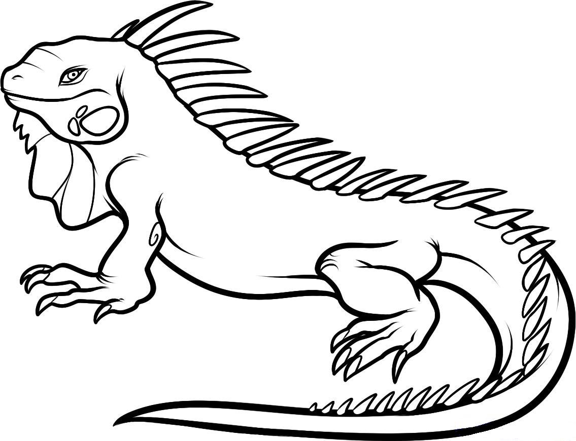 Iguana svg #15, Download drawings