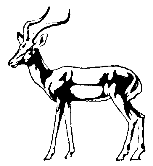 Impala clipart #20, Download drawings