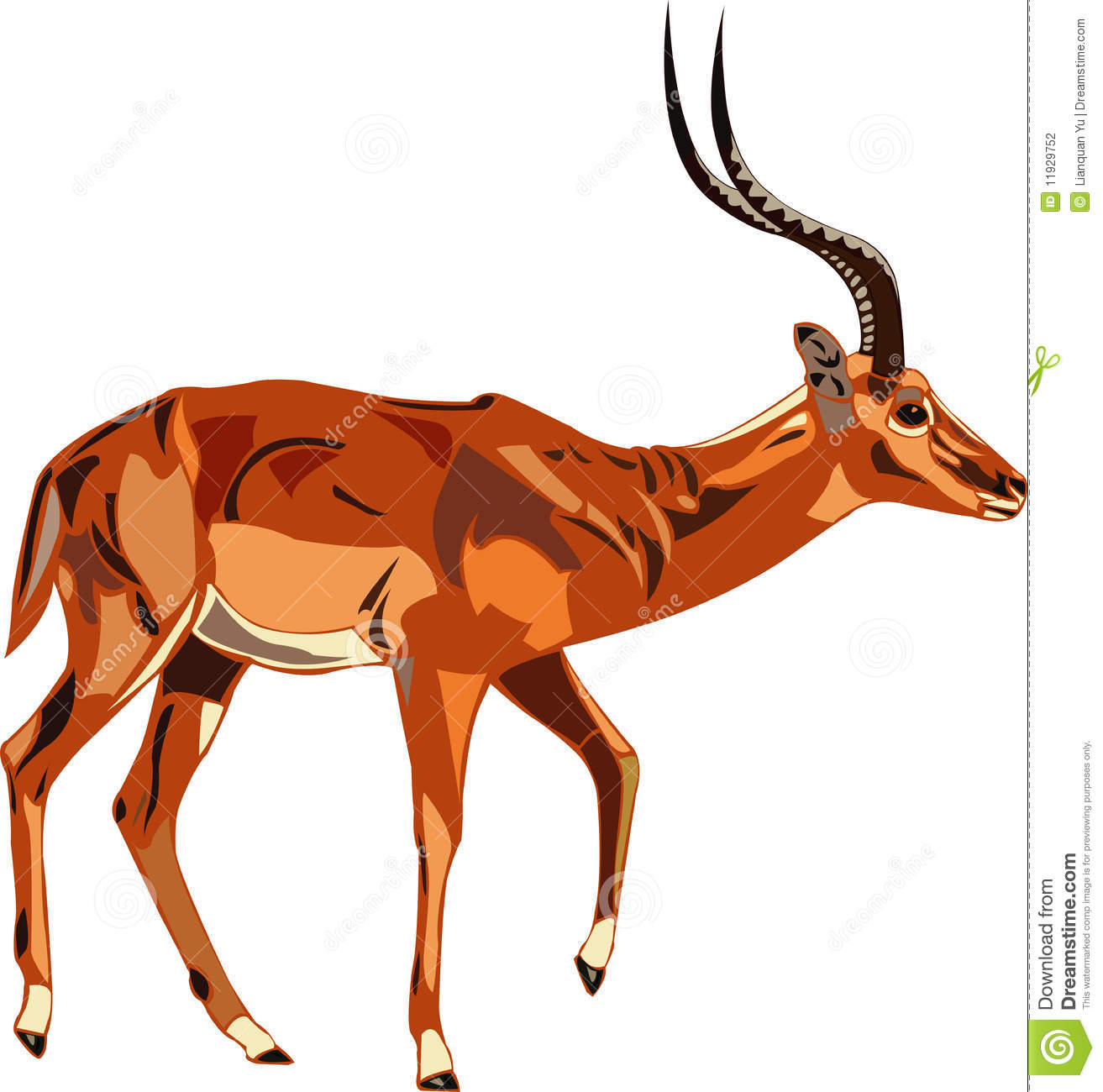 Impala clipart #14, Download drawings