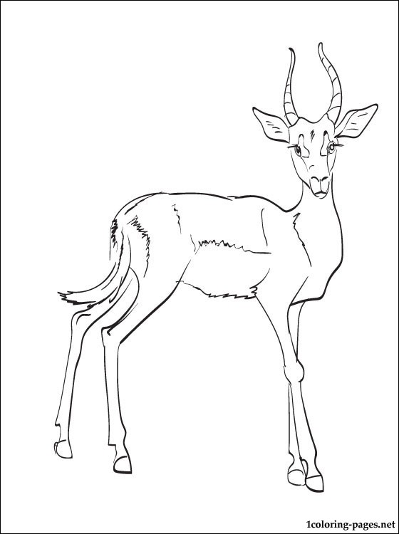 Impala coloring #2, Download drawings