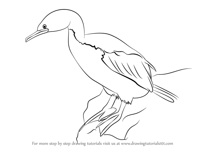Imperial Shag svg #1, Download drawings