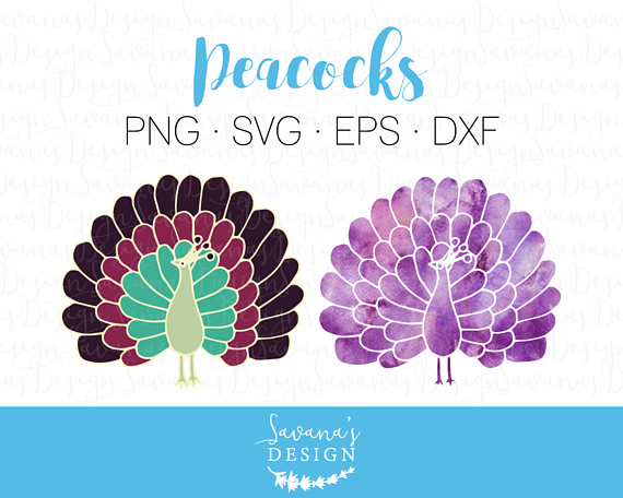 Indian Peafowl svg #16, Download drawings