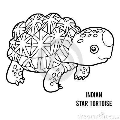 Indian Star Tortoise coloring #19, Download drawings