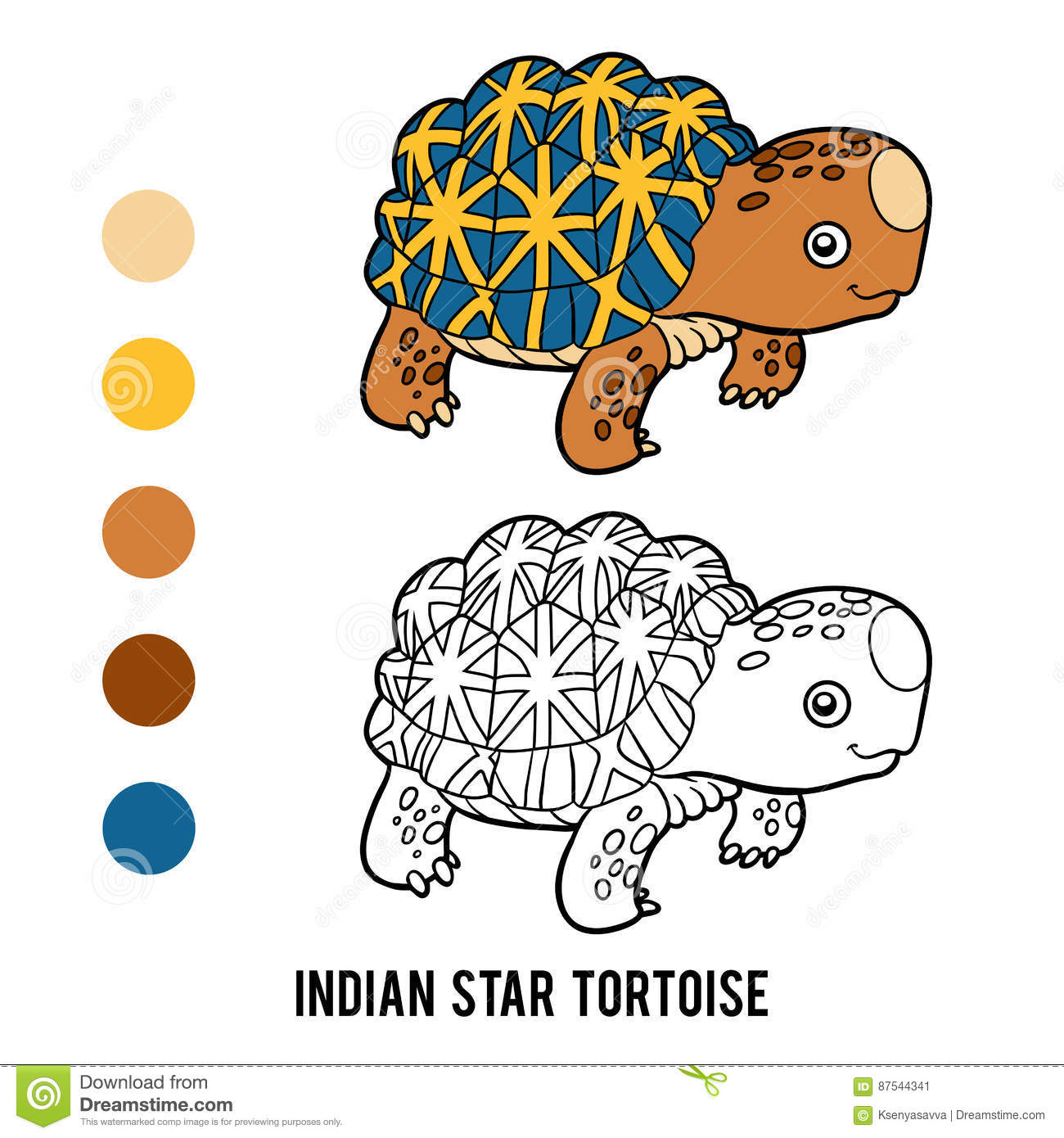 Indian Star Tortoise coloring #11, Download drawings