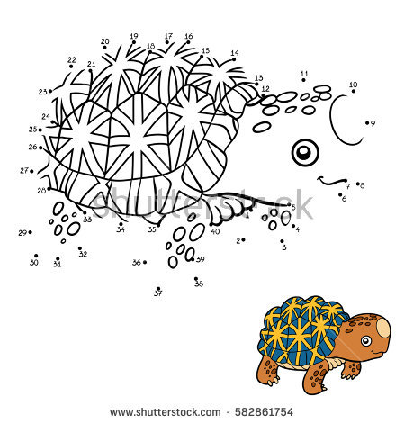 Indian Star Tortoise coloring #16, Download drawings