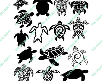 Indian Star Tortoise svg #15, Download drawings