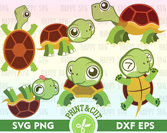 Indian Star Tortoise svg #11, Download drawings