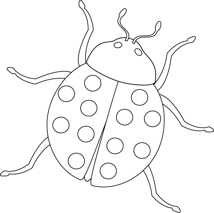 Insect coloring #12, Download drawings