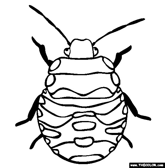 Insect coloring #6, Download drawings