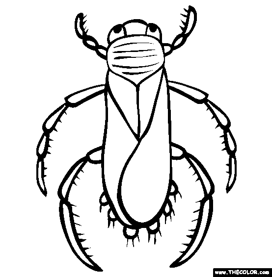 Bug coloring #6, Download drawings