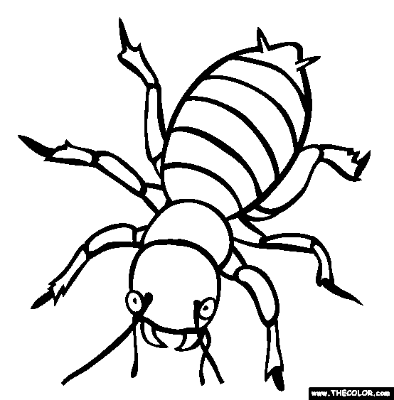 Insect coloring #17, Download drawings