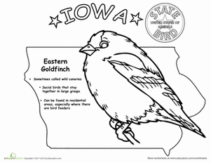 Iowa coloring #11, Download drawings