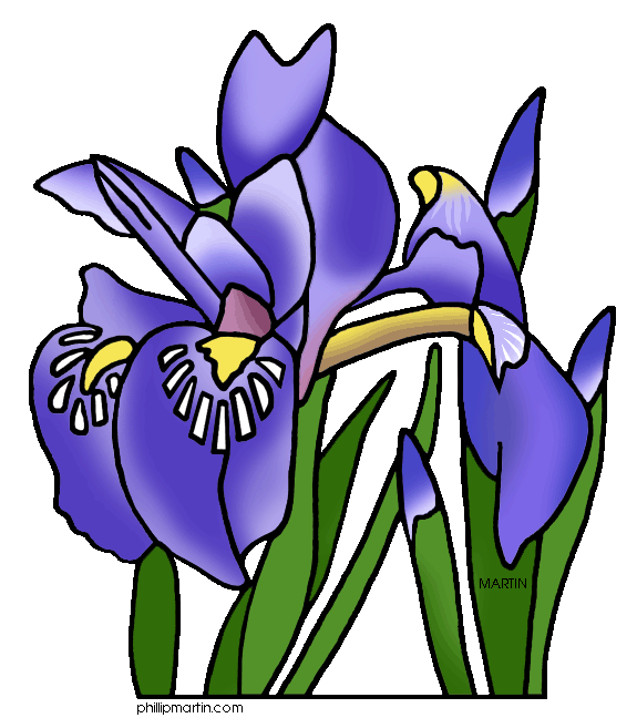 Iris clipart #15, Download drawings