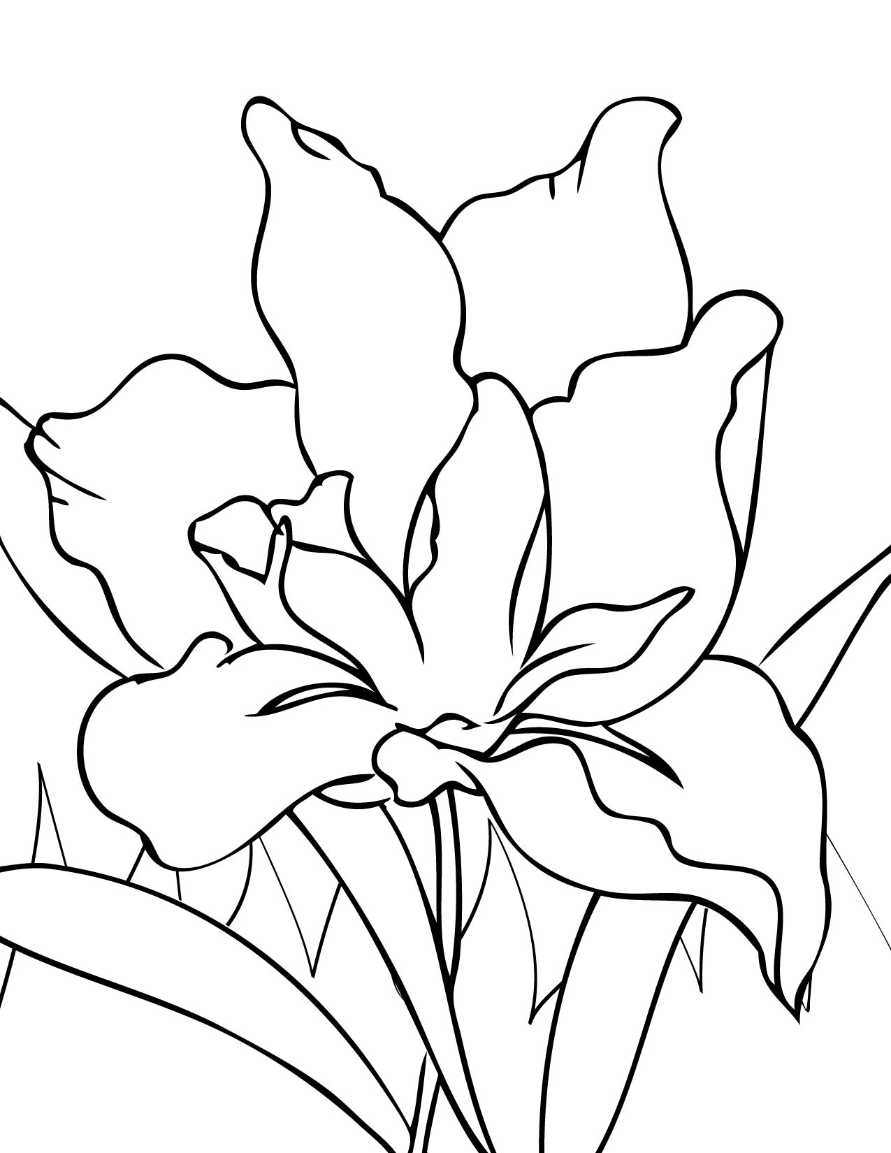 Iris coloring #2, Download drawings