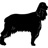 Red Setter clipart #8, Download drawings