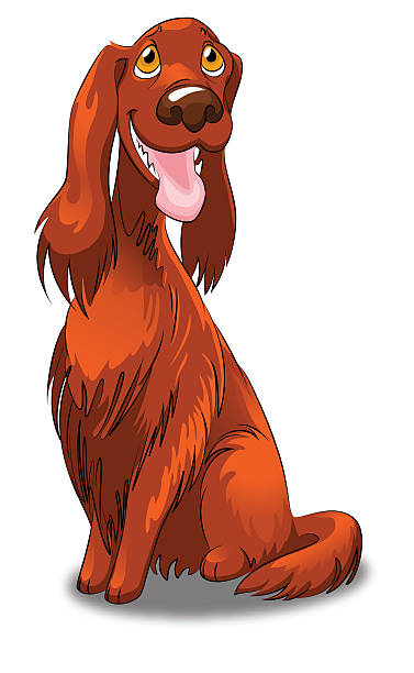 Red Setter clipart #15, Download drawings