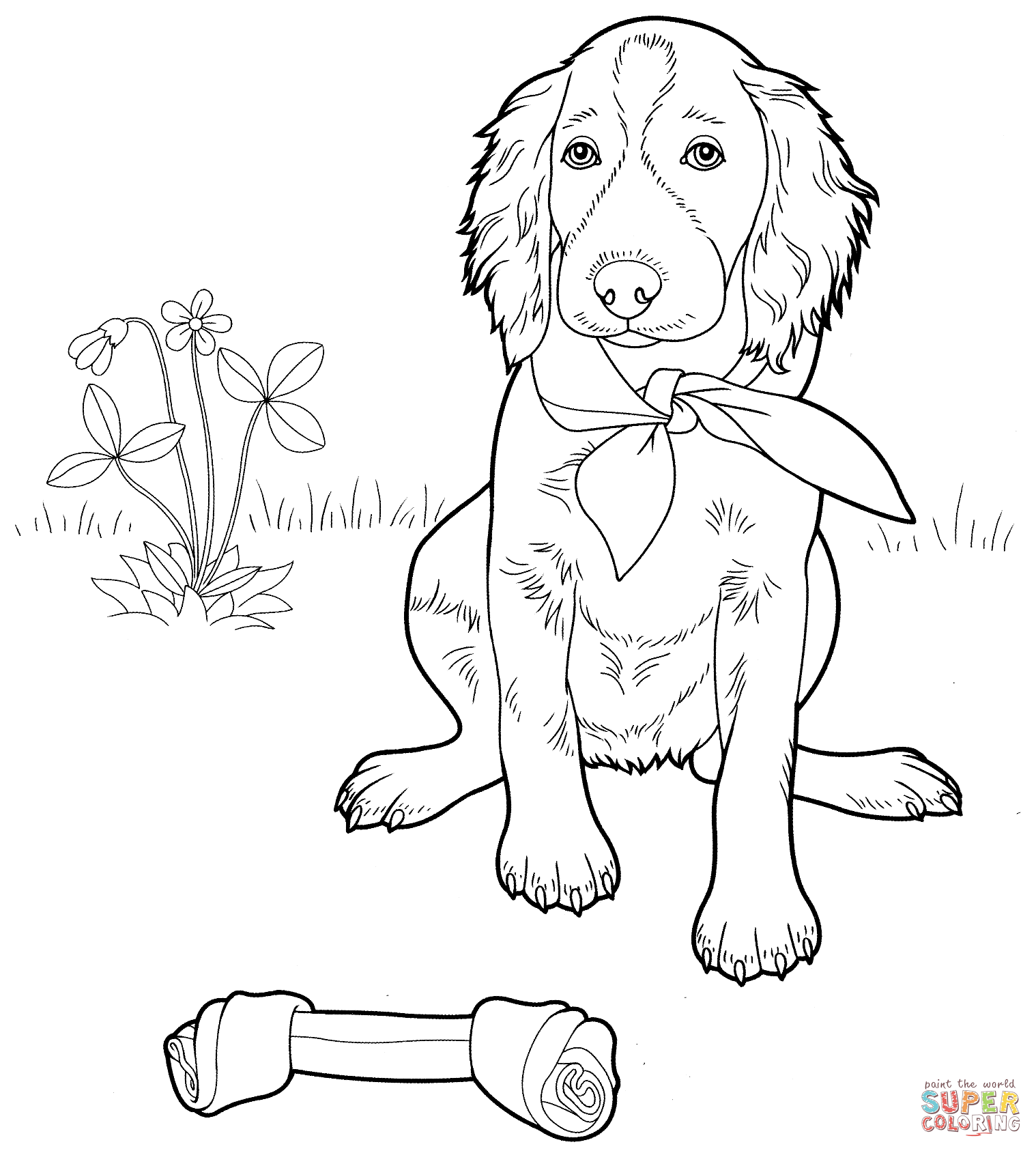 Red Setter coloring #5, Download drawings
