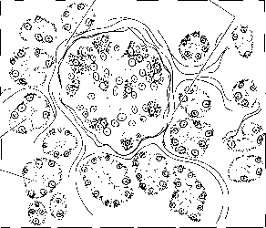 Islets coloring #6, Download drawings