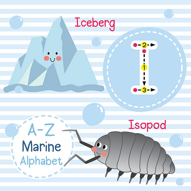 Isopod clipart #8, Download drawings
