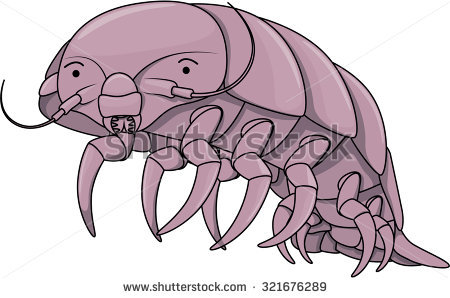 Isopod coloring #20, Download drawings