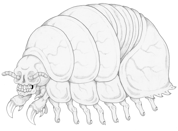 Isopod coloring #11, Download drawings