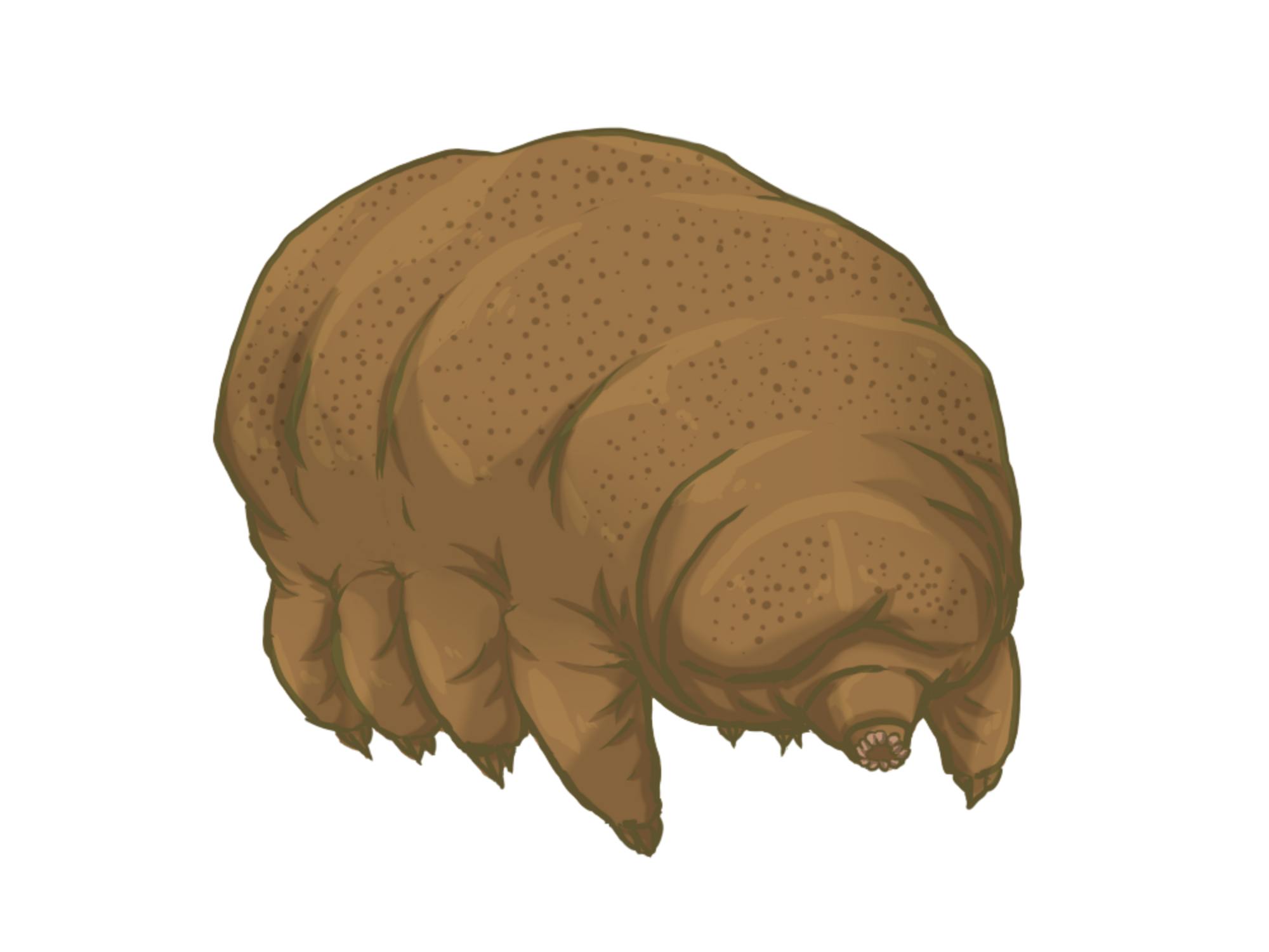 Isopod svg #17, Download drawings