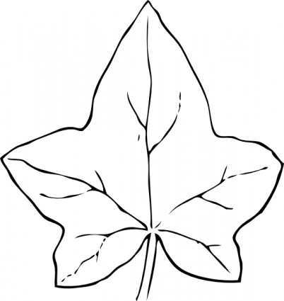 Ivy svg #2, Download drawings
