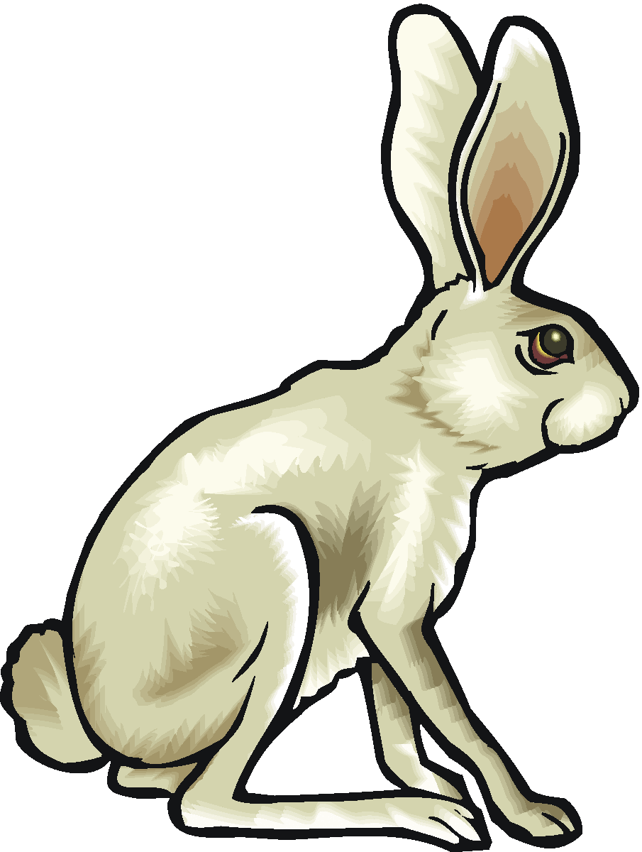 Jack Rabbit clipart #2, Download drawings