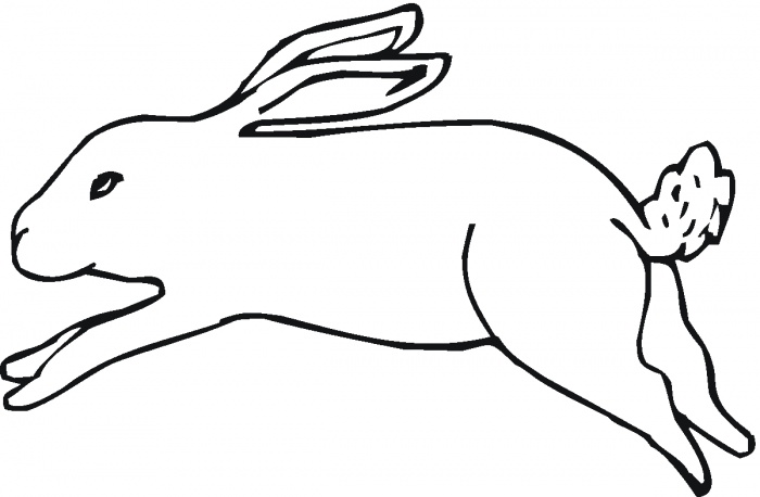 Jack Rabbit coloring #12, Download drawings